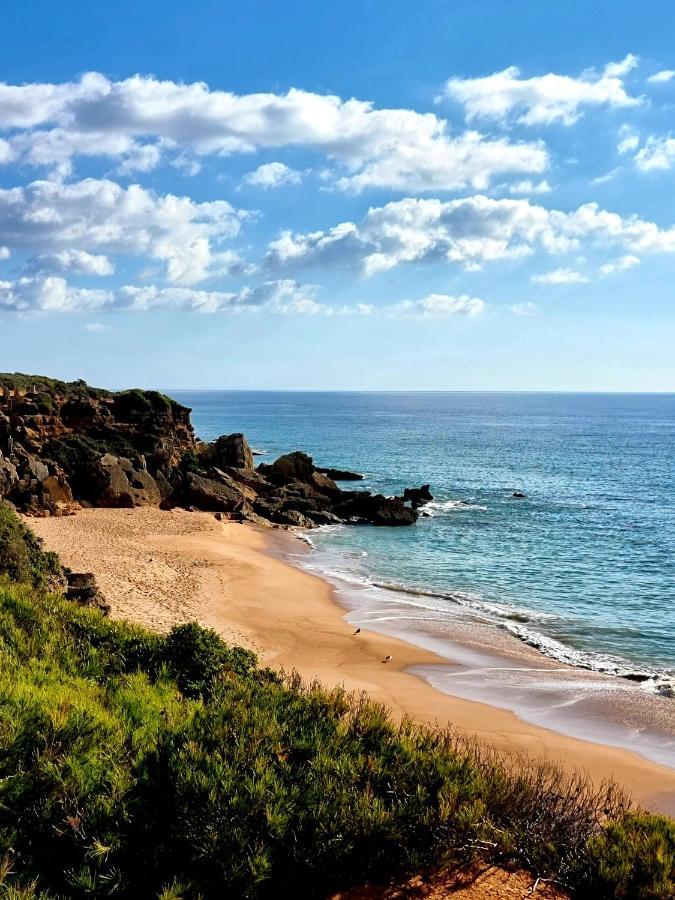 Apartamentos El Arrecife كونيل ذي لا فرونتيرا المظهر الخارجي الصورة